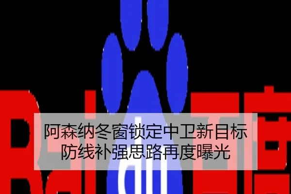 阿森纳冬窗锁定中卫新目标 防线补强思路再度曝光